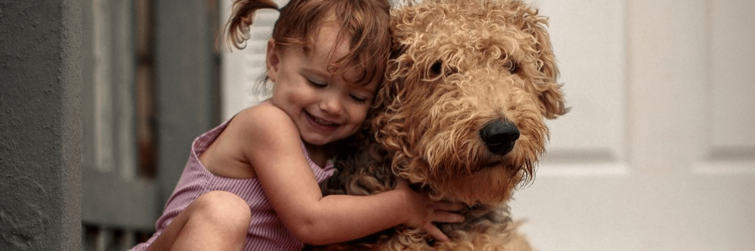 Çocukların Evcil Hayvanlarla İlişkisini Güçlendirmek İçin İpuçları